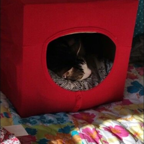 🐾Recycling Fur Pets ‼️Host Pick! - Picture 5 of 15